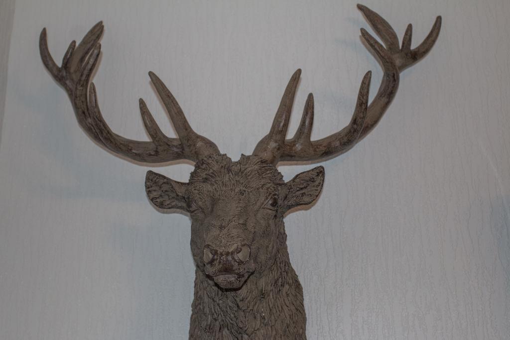 Hawthorn Lodge Guest House Inverness Luaran gambar